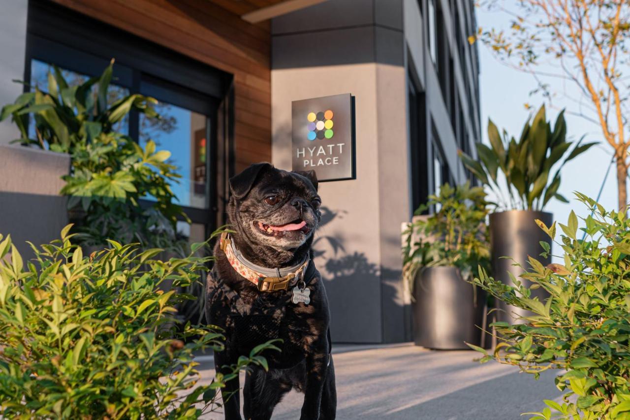 Hyatt Place Atlanta/Perimeter Center Sandy Springs Bagian luar foto